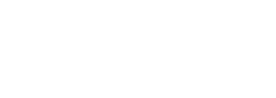 Styleye Logo